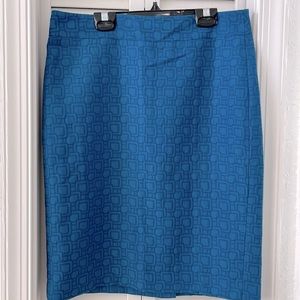 Ann Taylor skirt